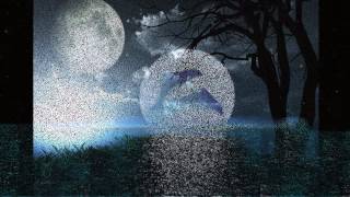 Andreas Vollenweider Moondance