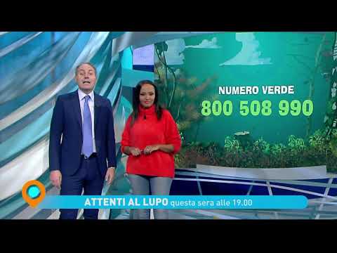 "Attenti al lupo" - "Tisane" mercoledì 8 gennaio alle 19 su Tv2000
