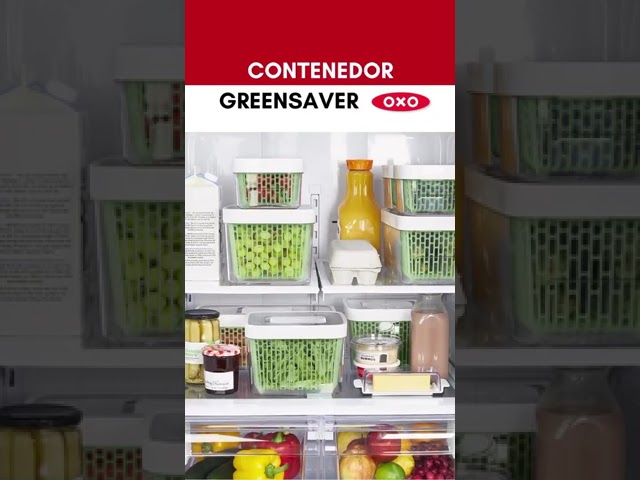 Vídeo relacionado con BEfresh Home - Frutas y Verduras Frescas Durante un 40% más de Tiempo | para Uso Dentro y Fuera de la Nevera | Recambio de 1 año | 4 Sachets | No Incluye Hoja Recipiente | Made in Spain