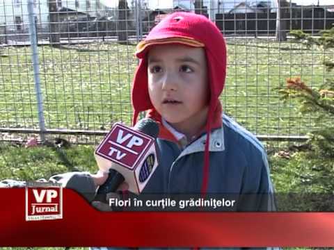 Flori în curțile grădiniţelor