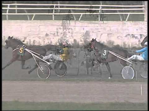 Trotto 20/01/2015 - 1° Corsa