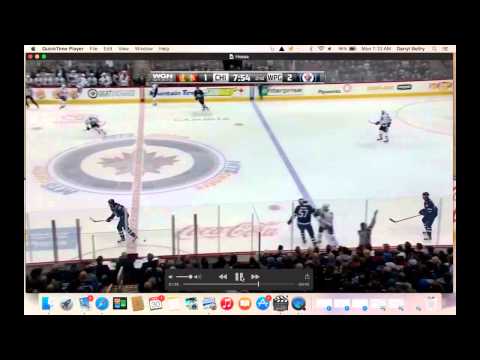 Marion Hossa Defensive Stick