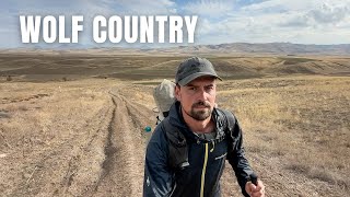 I Walked Alone Through Wolf Country in Eastern Turkey 🇹🇷