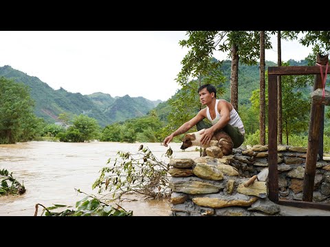 CEO leaves the city for the countryside, cleans the house after the storm and the unexpected ending