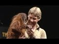 On This Day 5th September 2006 Commemorating The Crocodile Hunter