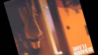 Loss of Soul and Shoe by Sebadoh