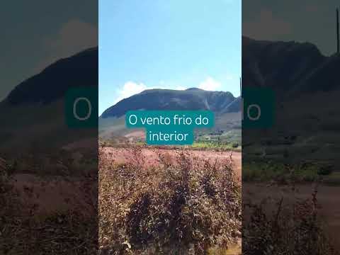 Mostrando a ventania que faz nesse lugar bonito do interior da Bahia #