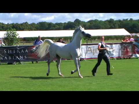 Memories of Chantilly 2017 - Part 3 - Lawrence El Gazal
