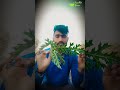 चर्म रोगों की दवाई दाद खुजली की आयुर्व