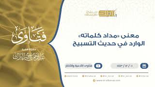 معنى "مداد كلماته" الوارد في حديث التسبيح  - الشيخ عبدالرحمن البراك (9485) image