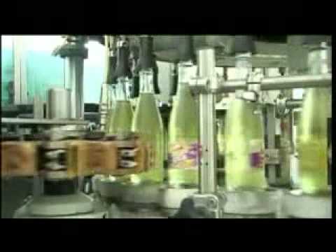 Story of  Goodness Elephant House Commercial