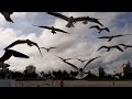 Miami South Beach Walk 2022