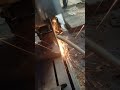 Cutting Omala Fire Tn65 Ramnad Mugavai Ramanathapuram