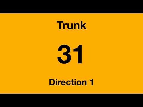 Q31 Bus Line