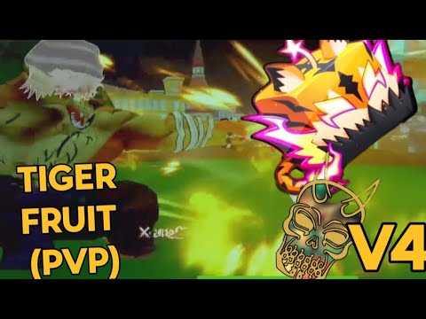 TIGER FRUIT+ GHOUL V4 | INFINITY SPAM | PVP USING TIGER FRUIT 