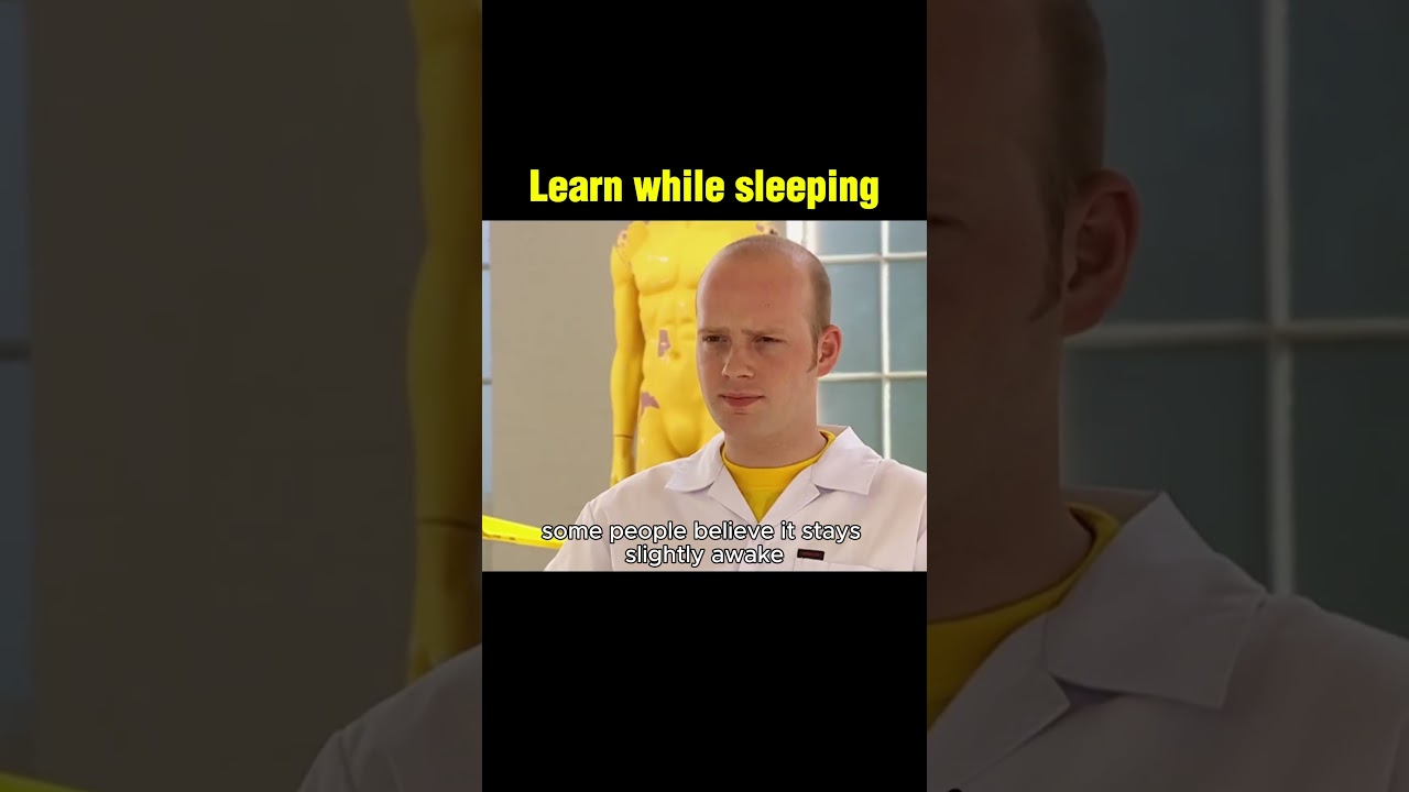 Can You Really Learn While Sleeping?