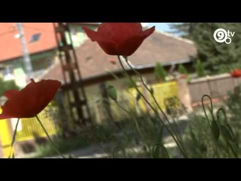 9.Tv - A teljesség felé - Összefogaló 2014.09.01.