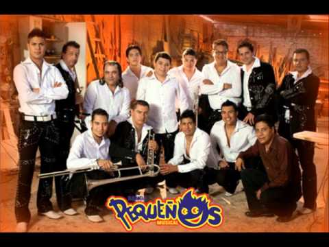 Como Perros Y Gatos - Banda Pequeños Musical