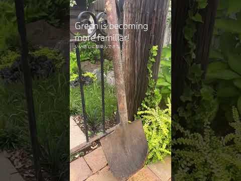 園芸 「フレンチスタイル」の花壇