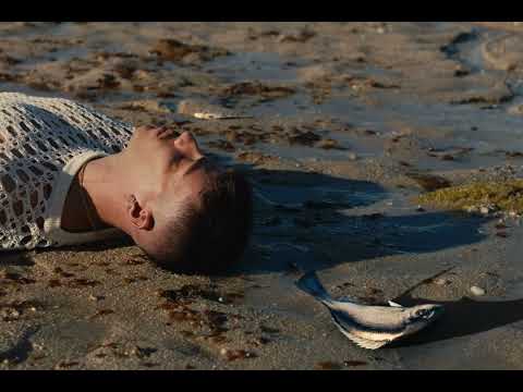 Dirty Suc, Ene RXT - Cristales Tintados 2