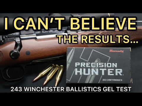 LONG RANGE?! 243 Winchester Precision Hunter 90gr ELD-X Ammo Test