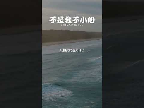 每段青春都会苍老，但我希望记忆里的你一直都好#纯音乐 #轻音乐 #音乐 #音乐推荐 #不是我不小心