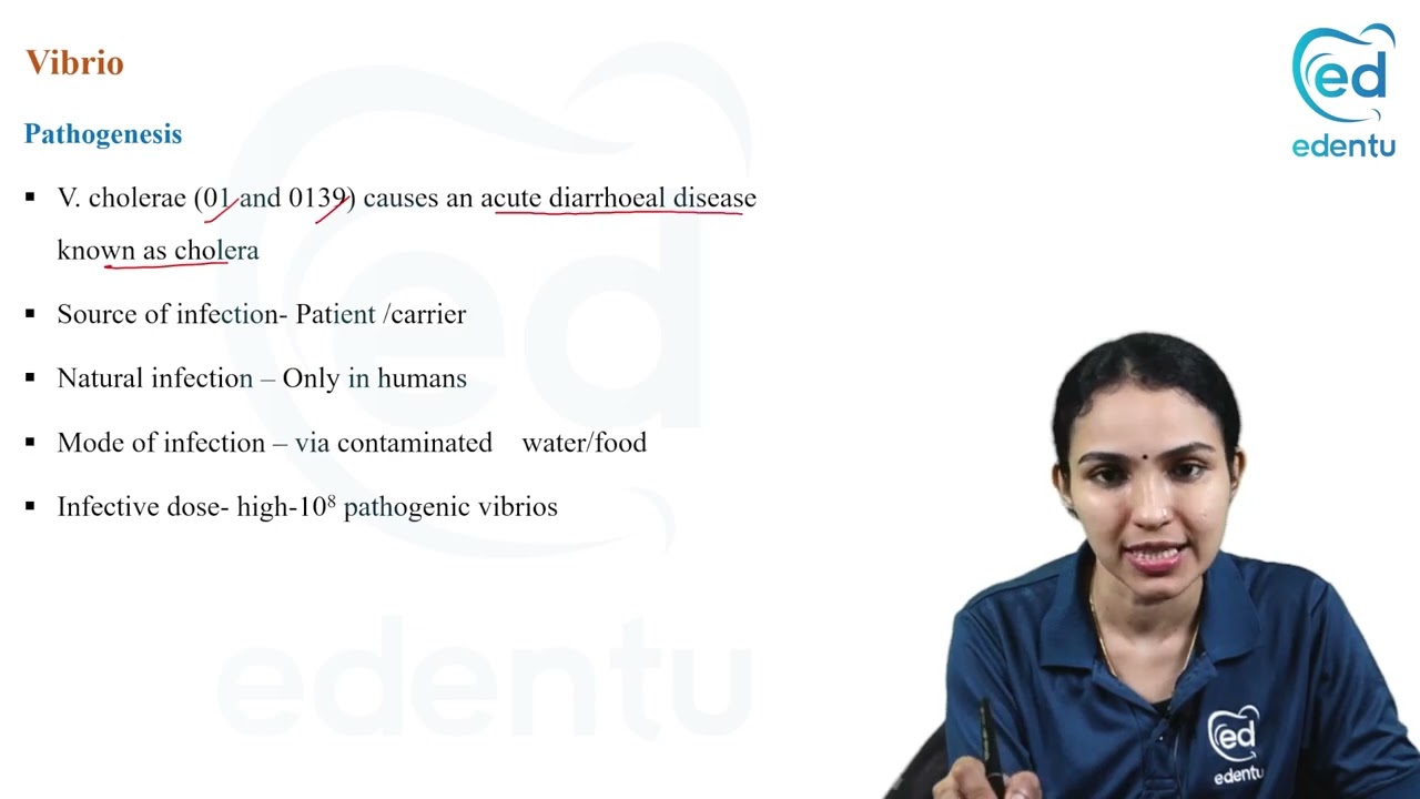 Vibrio Cholerae | Bacteriology |  Microbiology Second Year BDS | Edentu Learning App