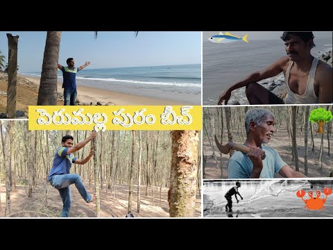 🌊PERUMALLAPURAM BEACH 🐚|MINI GOA 🏖️| MUST WATCH|KAKINADA |Telugu|@yatishbrovlogs