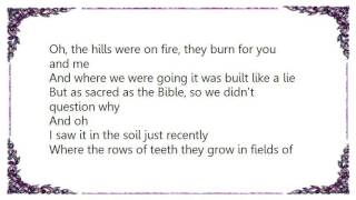 Death Cab for Cutie - Portable Television Lyrics