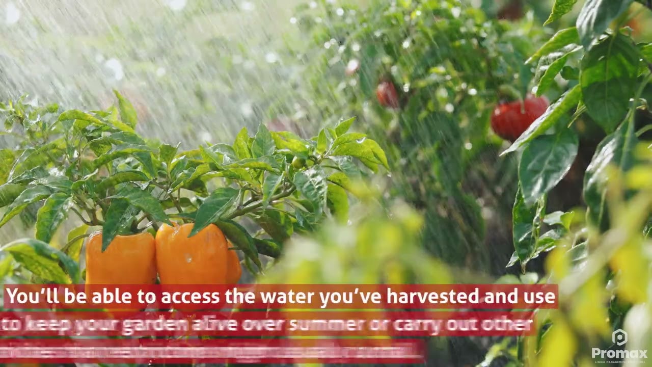Why Rain Harvesting Is Important