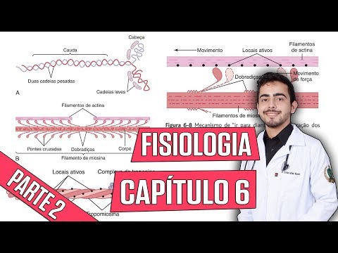 Physiology - Skeletal Muscle Contraction (Chapter 6) PART 2 │ Guyton