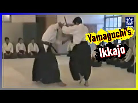 Yamaguchi Sensei Reveals Ikkajo