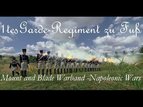 Napoleonic Wars - Salve für Salve gegen das Kaiserliche Heer (Zs)