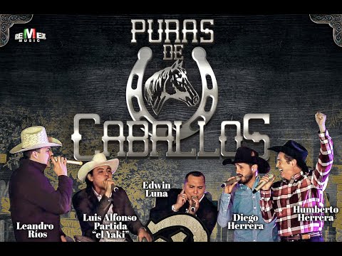 Diego Herrera y sus amigos - Puras de caballos