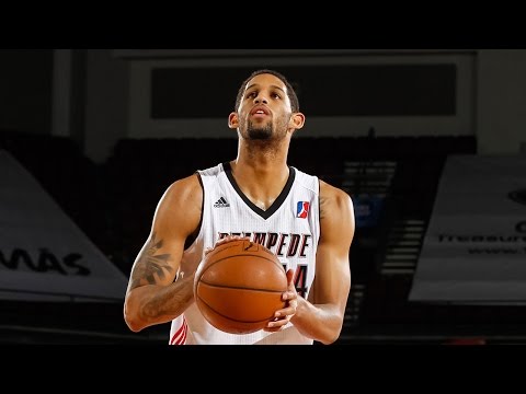 Allen Crabbe 2013-14 NBA D-League Season Highlights