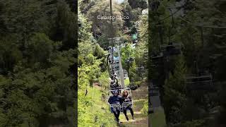 Circuito Chico  Bariloche #upserra #sobreamigosecaminhos #saidosofa