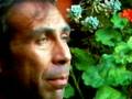 taylor negron - YouTube