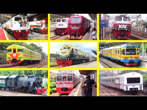 2021 Train Highlights: Year in Review