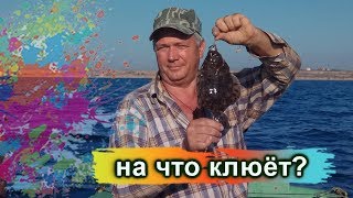 Ссылка