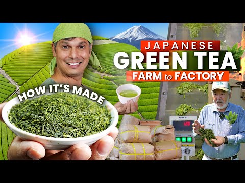 , title : 'How Japanese GREEN TEA is Made | Farm to Factory ★ ONLY in JAPAN'