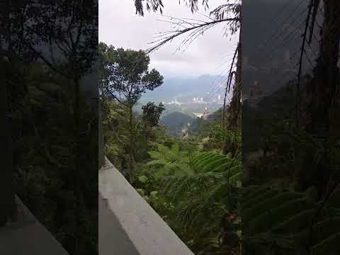 Reel tagged #vlog