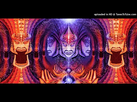 System Sequence - Salvia Divinorum (ThorusWrath Remix)