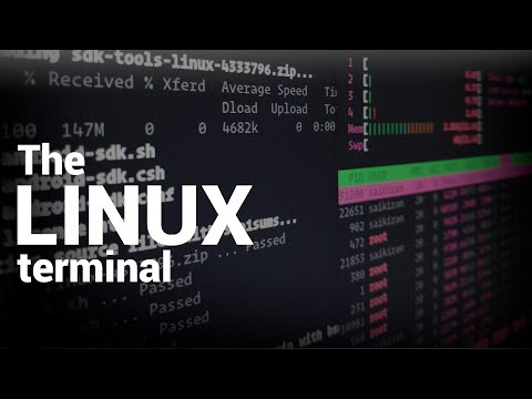 How to use the Linux command line (Basic commands and tips for beginners)