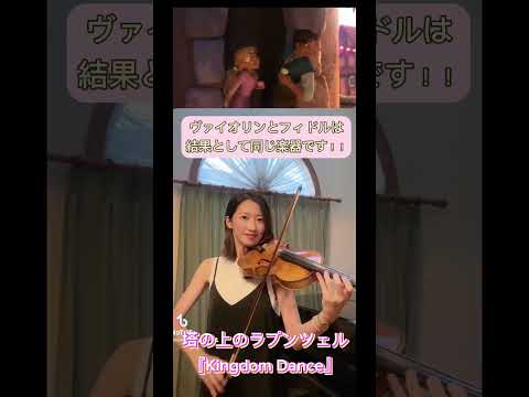 フィドルライトについて詳しく解説