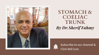 Dr. Sherif Fahmy - Stomach & Coeliac trunk