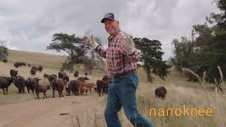 NanoKnee™