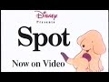 Spot Vhs Promos 1994 2000