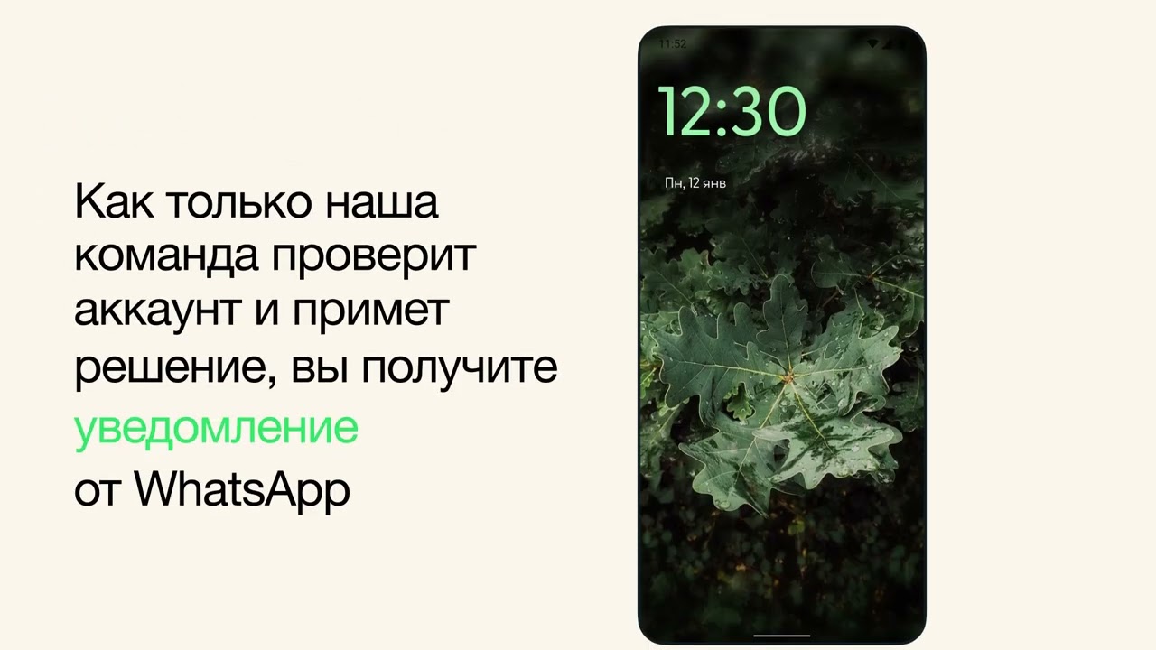 Что делать, если ваш аккаунт WhatsApp заблокирован | WhatsApp
