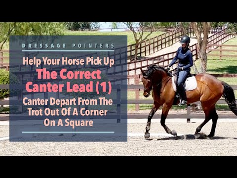 Help Your Horse Pick Up The Correct Canter Lead (1): Canter Depart From The Trot Out Of A Corner