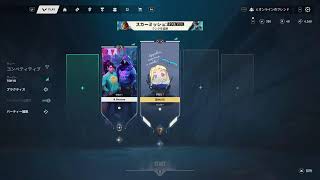 VALORANT CS ブロンズ帯の仕事